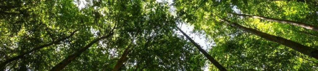 混凝土防水指南--結晶型防水外加劑的優(yōu)勢 4 4 3