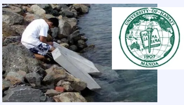 Krystol?結晶防水技術 | 半個世紀見證卓越成效 3 凱頓的KIM?混凝土防水外加劑